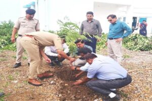 #पौधारोपण, #plantation