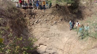 वन विभाग व आपदा प्रबंधन टीम द्वारा संयुक्त रेस्क्यू ऑपरेशन कर नीलगाय को बिना मुंडेर के कुवै से बाहर निकाल