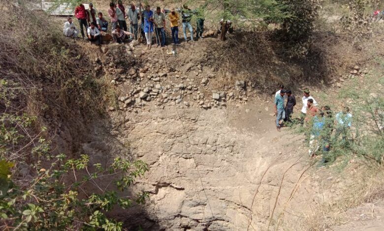 वन विभाग व आपदा प्रबंधन टीम द्वारा संयुक्त रेस्क्यू ऑपरेशन कर नीलगाय को बिना मुंडेर के कुवै से बाहर निकाल वन विभाग व आपदा प्रबंधन टीम द्वारा संयुक्त रेस्क्यू ऑपरेशन कर नीलगाय को बिना मुंडेर के कुवै से बाहर निकाल