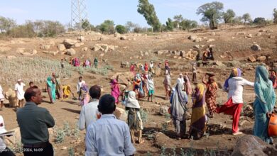 जिला परिषद के मुख्य कार्यकारी अधिकारी ने किया मनरेगा कार्य का निरीक्षण