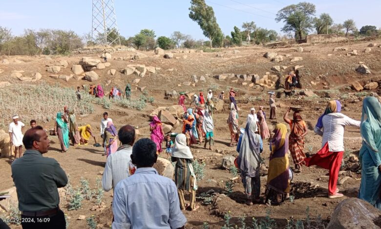 जिला परिषद के मुख्य कार्यकारी अधिकारी ने किया मनरेगा कार्य का निरीक्षण