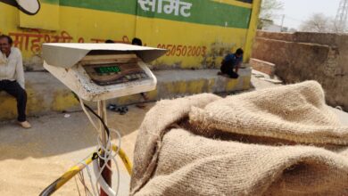 जानलेवा तौल, भरपूर पैसा नहीं मिल रहा पूरा भोजन ए ग्रेड मण्डी में श्रम कानुन की उड़ रही धज्जियां