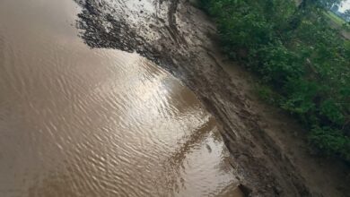 ढलमु मानपुरा की सड़क खस्तहाल